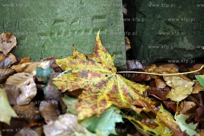 Pozostalosci cmentarza zydowskiego na  Krolewskim Wzgorzu...