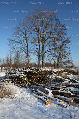 Wislinka. Miejsce, wktorym wykopywano bursztyn.
24.01.2014
fot....