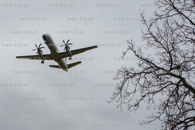 Okolice Portu Lotniczego Gdańsk im. Lecha Wałęsy....