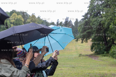 Sopot. Łysa Góra. Festiwal „Piano w naturze Sopot”....