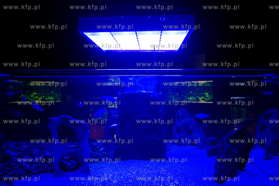 Sopot. Budynek dawnego klubu nocnego Enzym. Nowo otwarte...