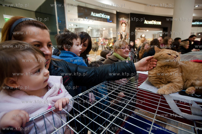 Gdansk. Galeria Baltycka. Obchody swiatowego dnia kota....