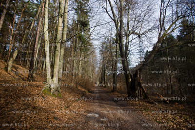Gdansk. Oliwa, Trojmiejski Park Krajobrazowy. Sciezka...