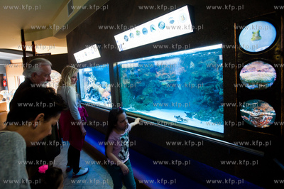Akwarium Gdynskie Morskiego Instytutu Rybackiego -...