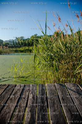 Zukowo. Tereny zielone sasiadujace z Zespolem poklasztornym.
26.05.2014
fot....