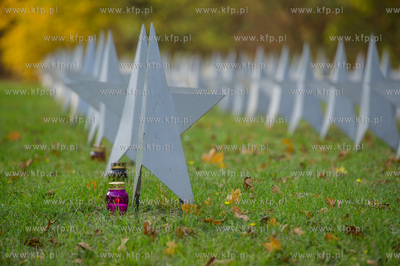 Gdansk. Cmentarz Zolnierzy Radzieckich. Dzien Wszystkich...