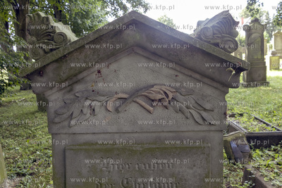 Największy w Polsce, wpisany w 1988 roku do rejestru...