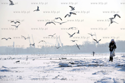 Niska temperatura spowodowala zamarzniecie Zatoki Gdanskiej....