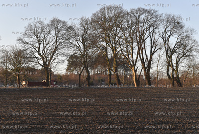 Gdańsk. Kokoszki. Pole pomiędzy ul. Bysewka a Kartuska....