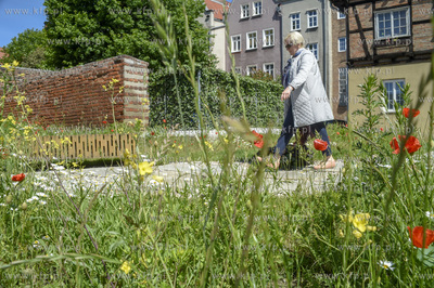 Mini łączka pomiędzy dawnymi murami obronnymi w...