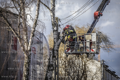 Akcja usuwania drzewa, które na skutek wichury oparło...