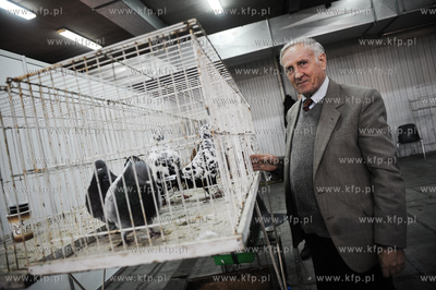 Gdansk. Miedzynarodowe Targi Gdanskie SA. 
6. Miedzynarodowe...