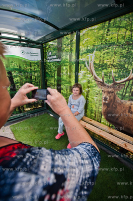 Gdansk. Wiata przystanku autobusowego Dworzec Glowny...