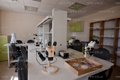 Gdansk. Wyspa Sobieszewoska. Teren Stacji Badawczej...