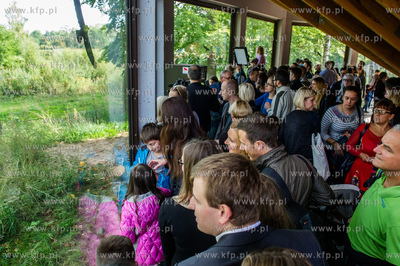 Gdansk. Zoo w Oliwie. Swiatowy dzien zwierzat. Prezentacja...