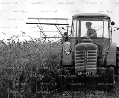 Zniwa w PGR Rusocin na Zulawach. 13.08.1962
odb_14_07_10
Fot....