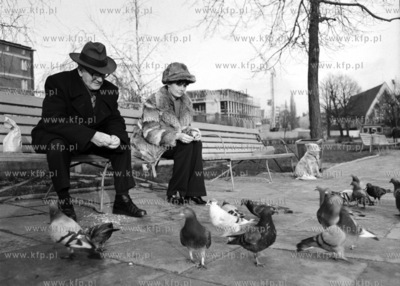 Odpoczynek na ławce.  (Lata 60).
1969
0005912z
Fot....