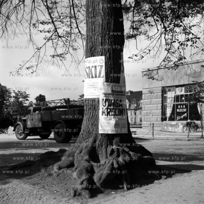 Plakaty rozwieszone na drzewie przed barem mlecznym...