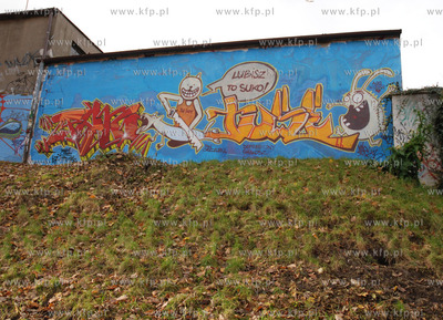 Niecenzuralne grafitti w gdanskim parku na skraju ulic...