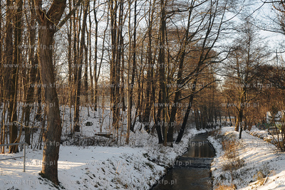 Gdynia. Zimowy spacer po Orlowie. 04.01.2009 fot. Andrzej...