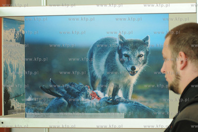 Hala Sportowo - Widowiskowa  Gdynia. 11. Ogolnopolskie...