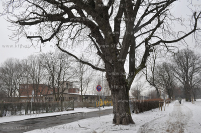 Gdansk Nowy Port. 20.01.2016 Fot. Maciej Kosycarz /...