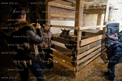 Gdansk. Tradycyjna szopka bozonarodzeniowa w Kosciele...