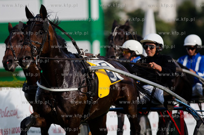 Wyscigi konne na sopockim hipodromie.
Nz wyscig klusakow
14.07.2013
fot....