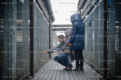 Gdansk. Schronisko dla bezdomych zwierzat Promyk. Akcja...