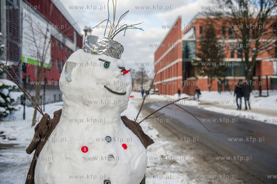 Sniezne balwany ustawione na kampusie Politechniki...
