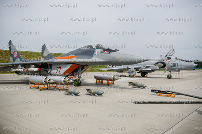 Królewo Malborskie. Open Air Day 2016 - Dzień otwarty...