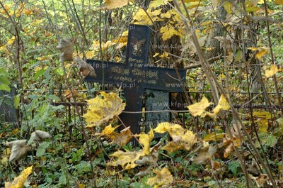 Opuszczony poniemiecki cmentarz w miejscowosci Osowo...