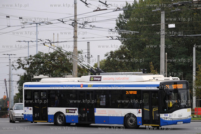 Juz po raz trzeci obchodzomy byl w sobote w Gdyni Europejski...