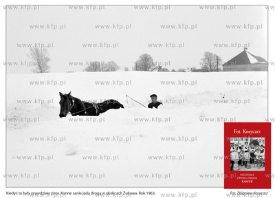 Zdjecia z albumu "Fot. Kosycarz. Niezwykle zwykle zdjecia...