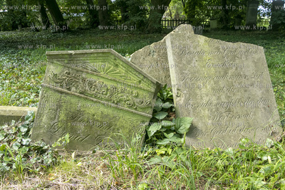 Cmentarz mennonicki z II połowy XVIII wieku w Stawcu...