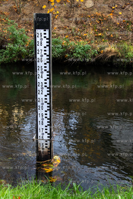 Łata wodowskazowa na Raduni w Pruszczu Gdańskim.
5.11.2024
fot....