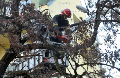 Gdansk. Strazacy usuwaja drzewo, ktore w winiku wichury...