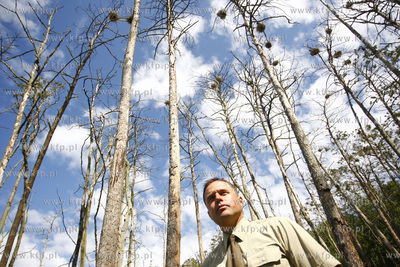 Rezerwat ornitologiczny w Katach Rybackich. Nz Wojciech...