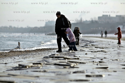 Sopot. Zatoka Gdańska zaczyna zamarzać.
31.01.2012
fot....