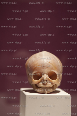 Wystawa o ciele ludzkim Human Body.
30.04.2013
fot....