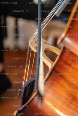 Literacka Restaurant & Wine Bar. Bursztyny Literatury....