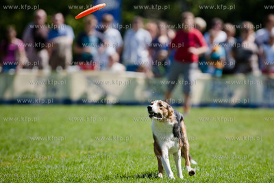 Sopot. Lazienki Polnocne. Trzecia kwalifikacja Dog...