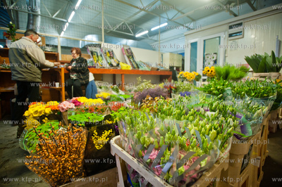 Gdansk. Giełda kwiatowa Dick Inter.
08.03.2013
fot....