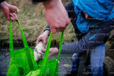 Gdansk. Pracowinicy Gdanskich melioracji oproznili...