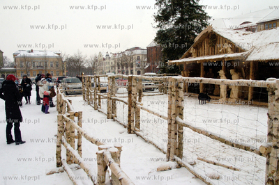 Slupsk

Na Placu Zwyciestwa w Slupsku stanela bozonarodzieniowa...