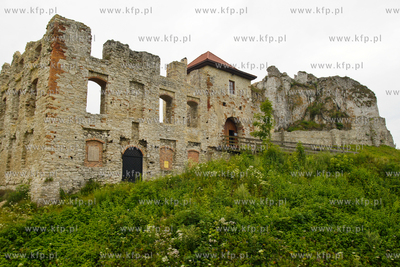 Ruiny zamku Rabsztyn nieopodal Olkusza. 
21.07.2012...