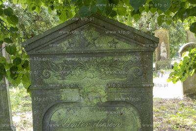 Największy w Polsce, wpisany w 1988 roku do rejestru...