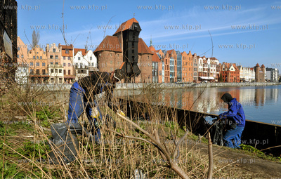 Prace porzadkowe na polnocnej czesci Wyspy Spichrzow...