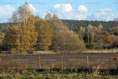 Wies Sulmin na Kaszubach. Okolica widziana z drogi...