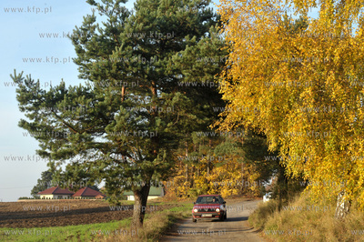 Gdansk Klukowo, ulica Radarowa i okolice. 22.10.2013...